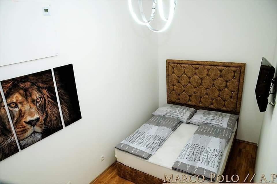 Markopolo Apartments Відень Екстер'єр фото